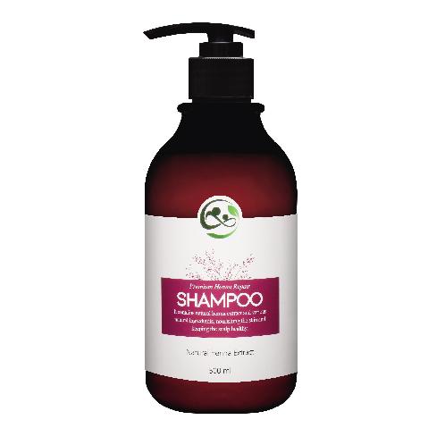Premium Henna Repair Treatment